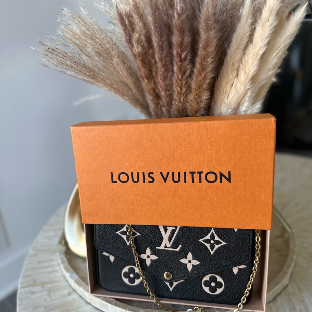 Louis Vuitton Felicie Pochette- Gently Used